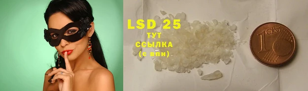 шишки Липки