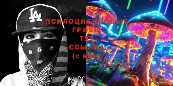 шишки Липки